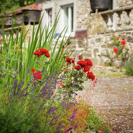 In Lavacherie With Terrace * Sainte-Ode